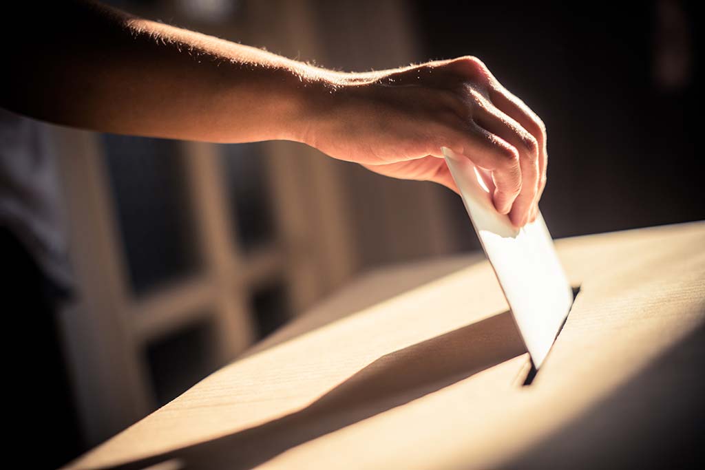Council Elections