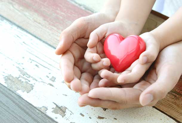 stock photo hands holding heart